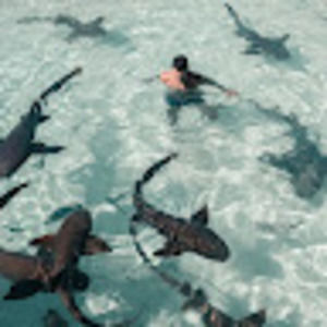 Meet your Posher, Sdado